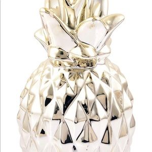 Brand New Pineapple Coin Bank